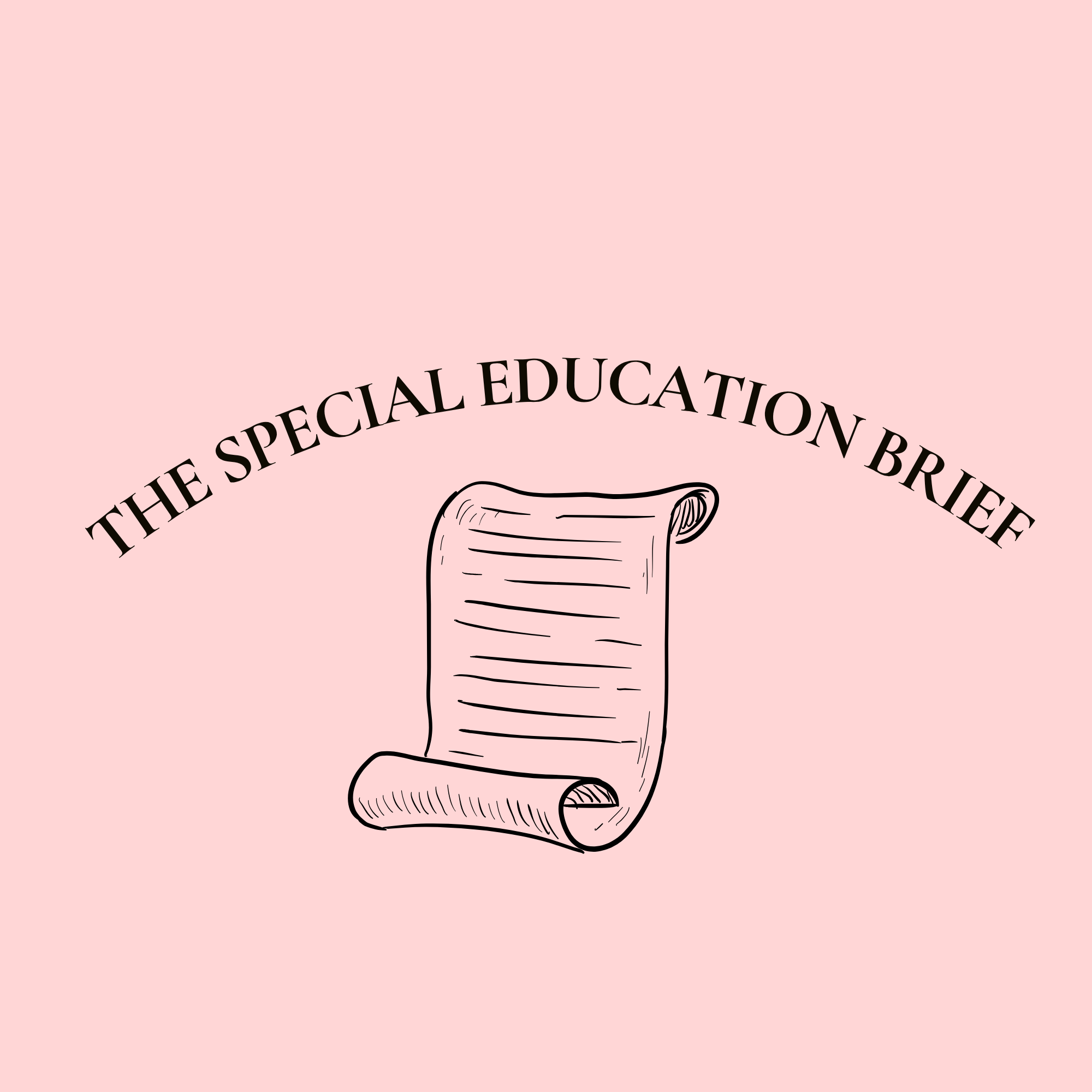 the special education brief